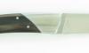 Thiers 11 cm Corne 2